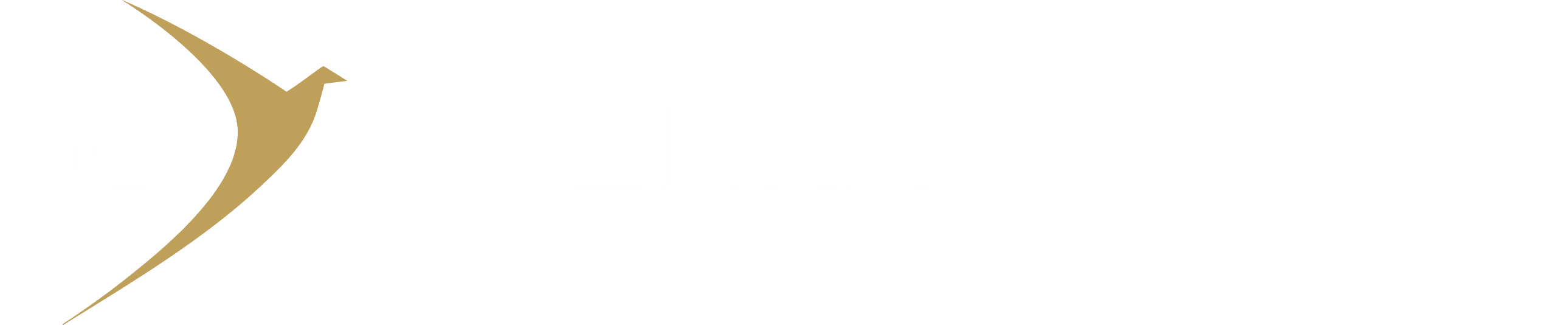 GD Goenka Foundation — Thrive. For Life.